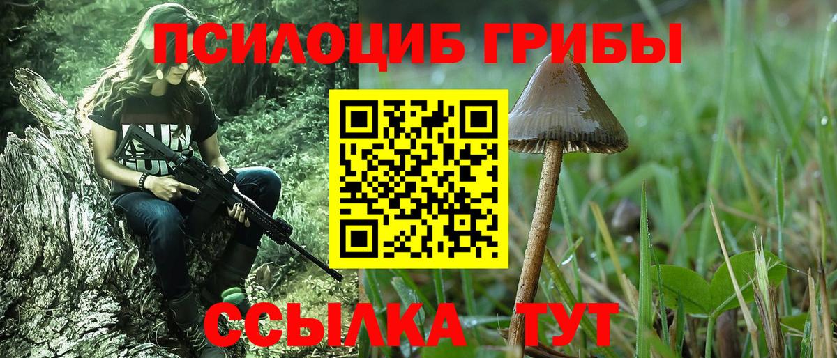 Галлюциногенные грибы мицелий  Вход с VPN  где найти   Славянск-на-Кубани 